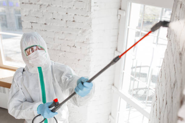 Best Mold Remediation for Vacation Homes  in Owensville, IN