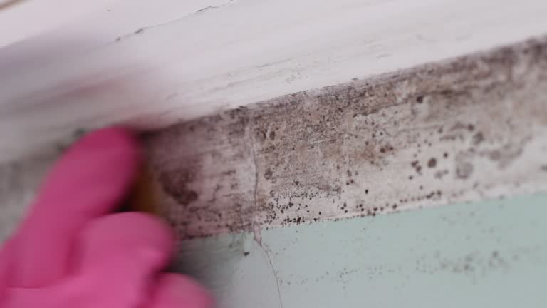 Best Indoor Air Quality Assessment  in Owensville, IN